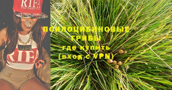 дурь Медвежьегорск