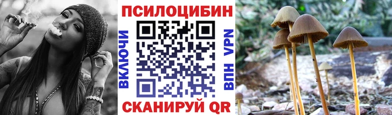 Галлюциногенные грибы Magic Shrooms  Новосокольники 